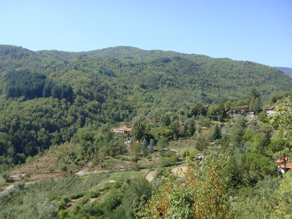 Castel San Niccolo Deimori Lamassa Private Villa With Pool מראה חיצוני תמונה